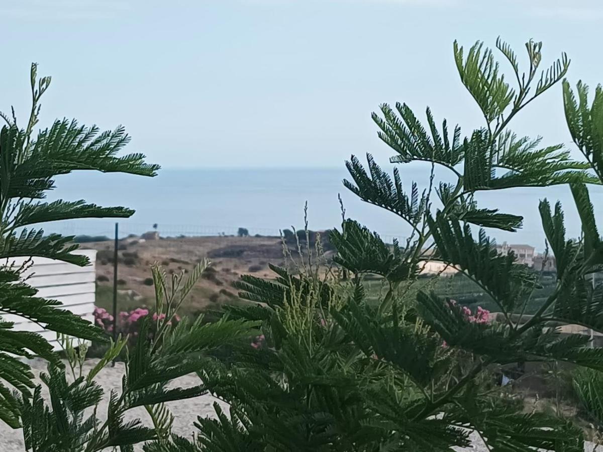 Casa Vacanze Abbacari Реальмонте Экстерьер фото